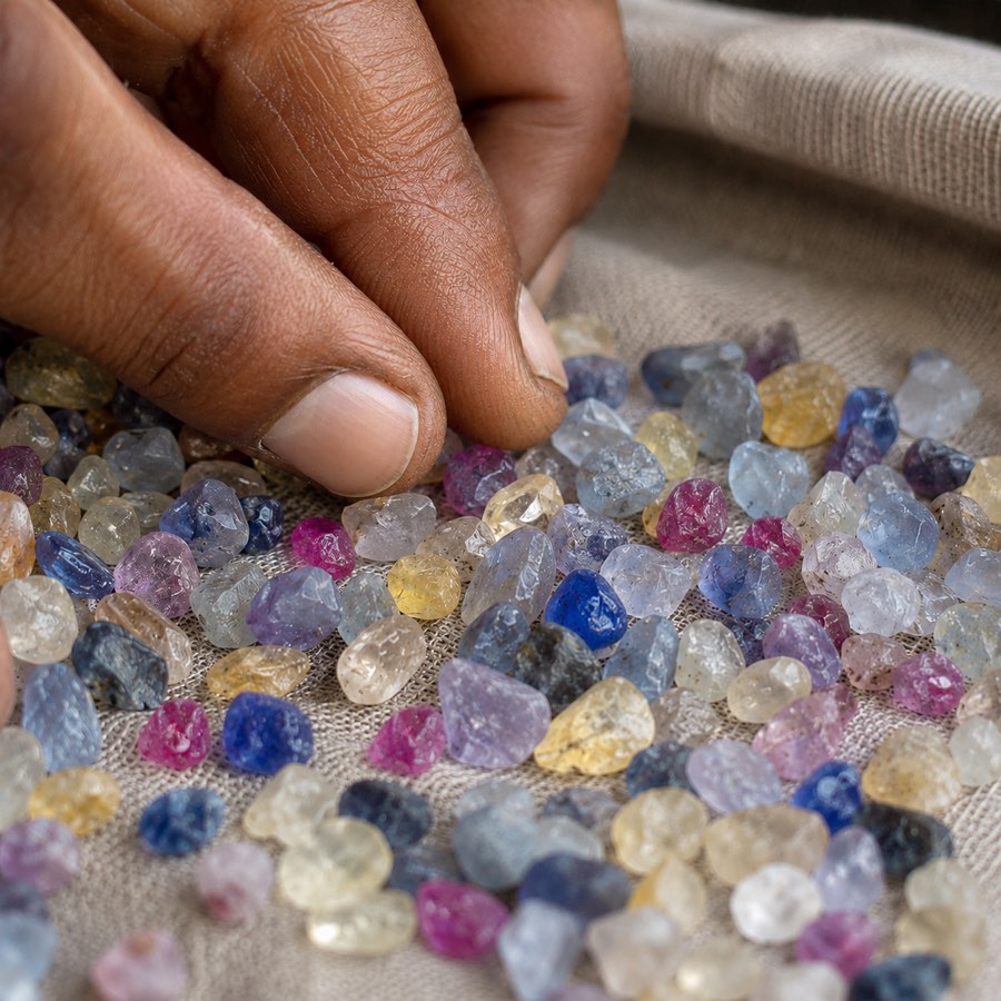 Hands sorting rough sapphires on a sorter's cloth.